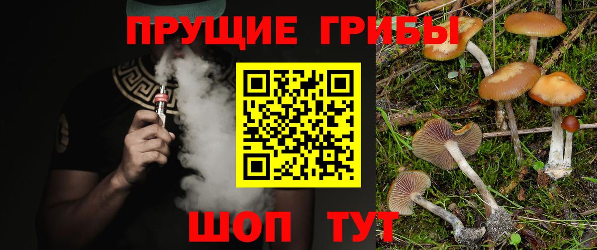 как найти наркотики  Вход с VPN  Югорск  Псилоцибиновые грибы прущие грибы 